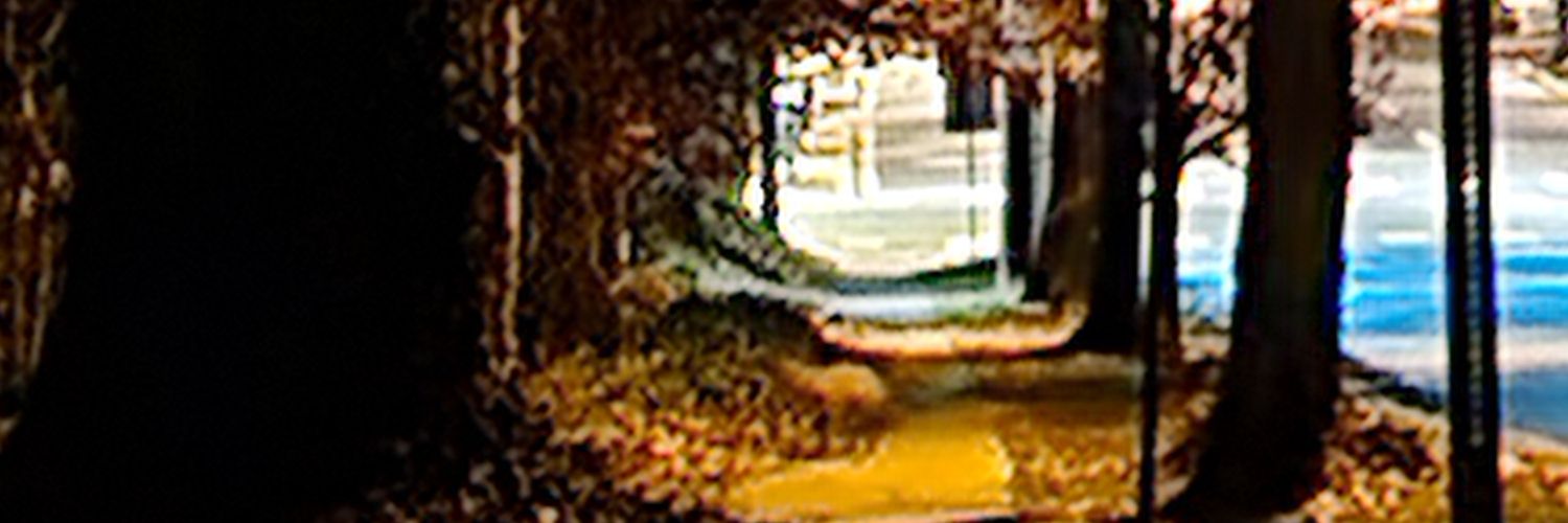 MissyLongSoxx's profile banner image