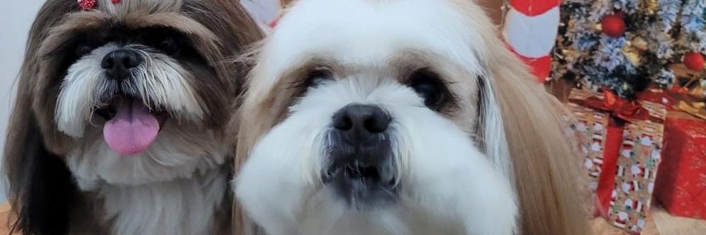 rosanalyra44's profile banner image