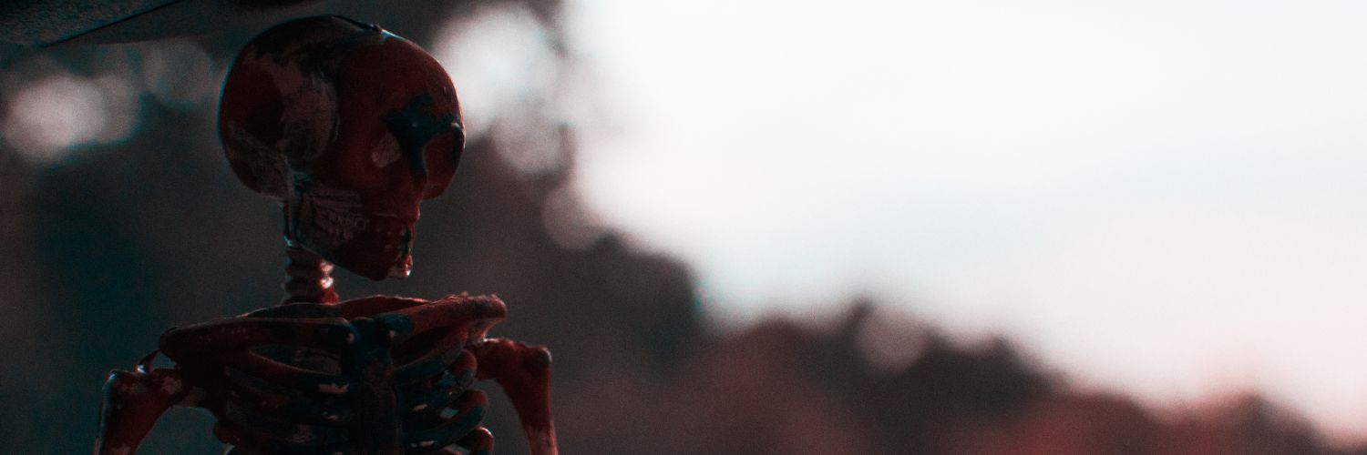 NicheAbou's profile banner image