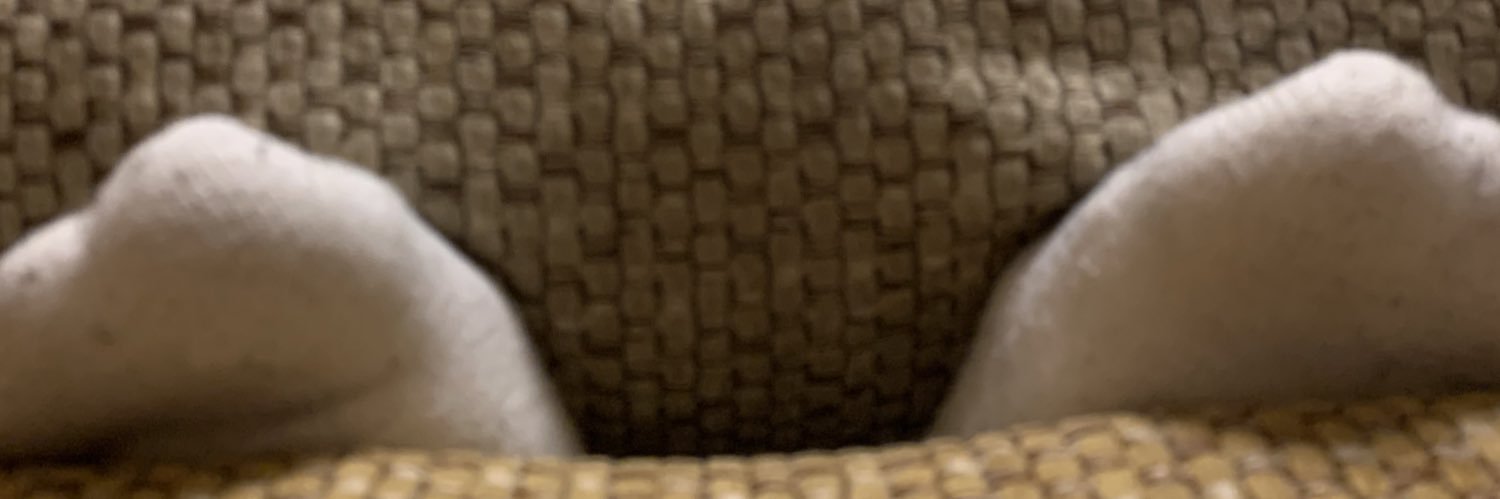 gexvardibitas's profile banner image