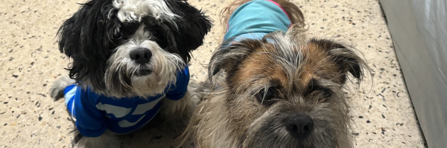 Villy Alvarado banner