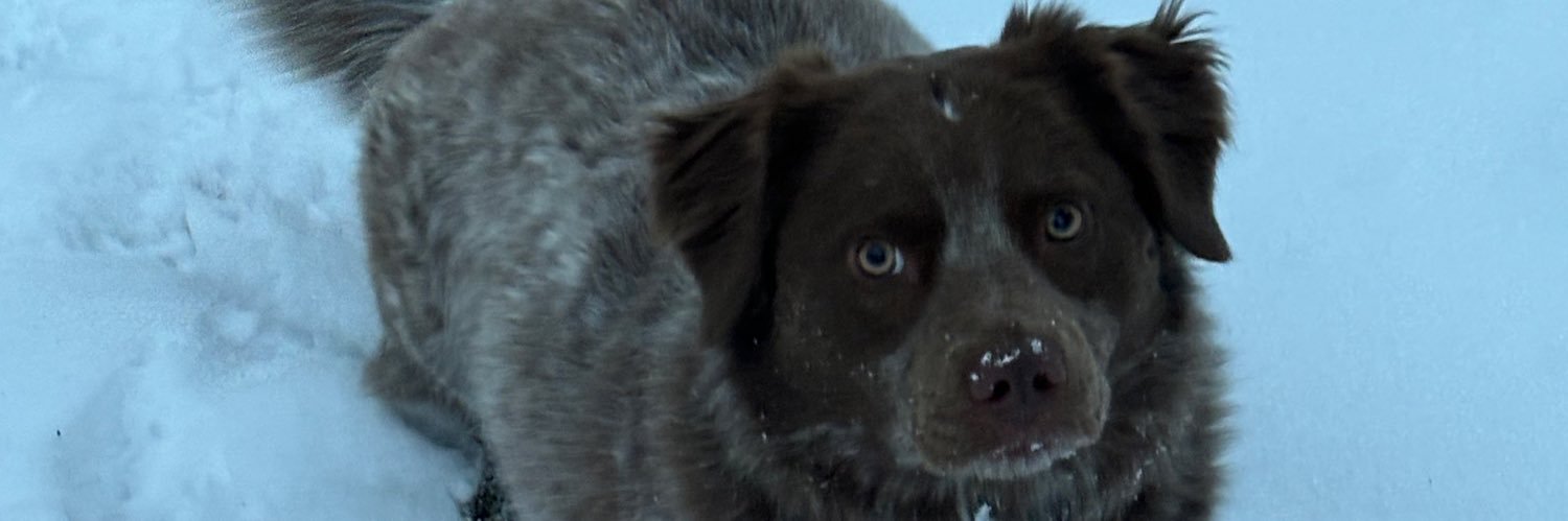 Andrew McFeeters banner