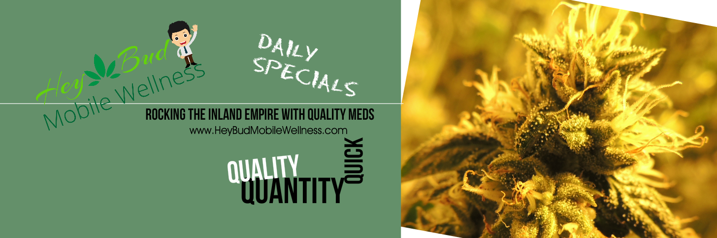 HeyBud420's profile banner image