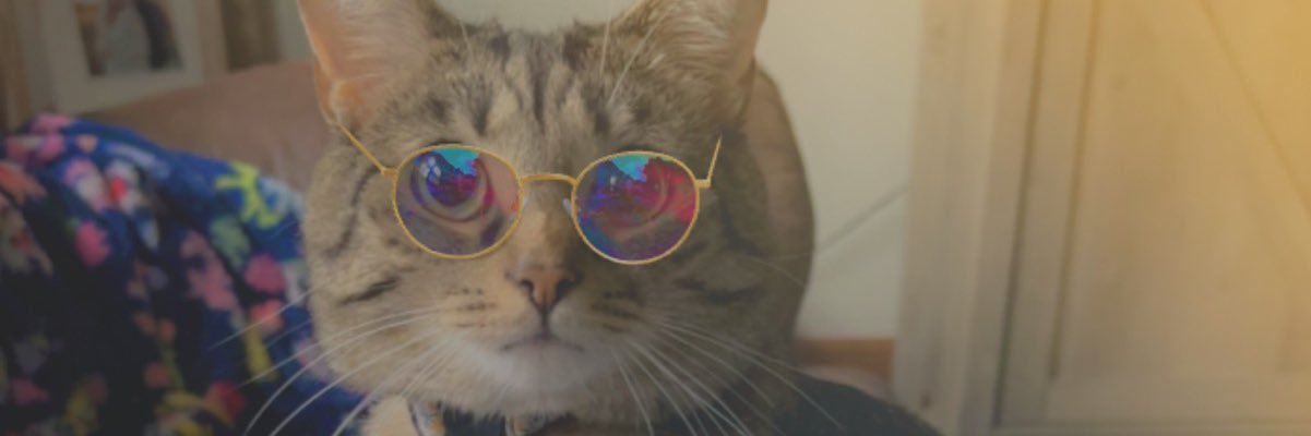 mmccormick_'s profile banner image