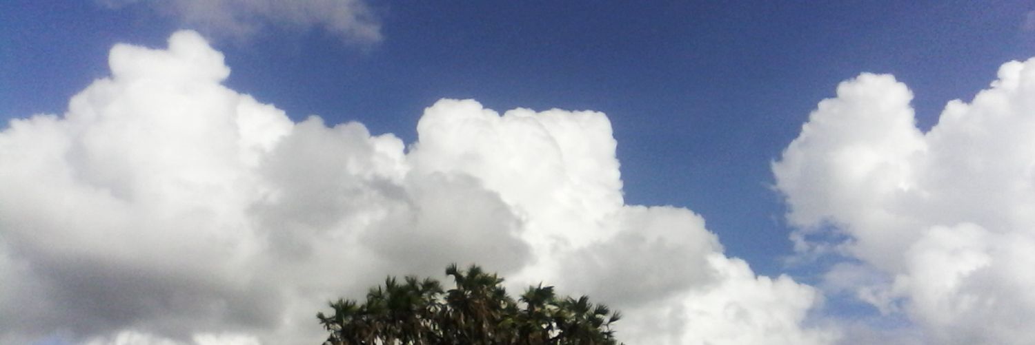 s_omondi's profile banner image