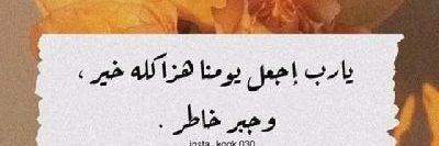 PETRA BRUNDIC π² banner