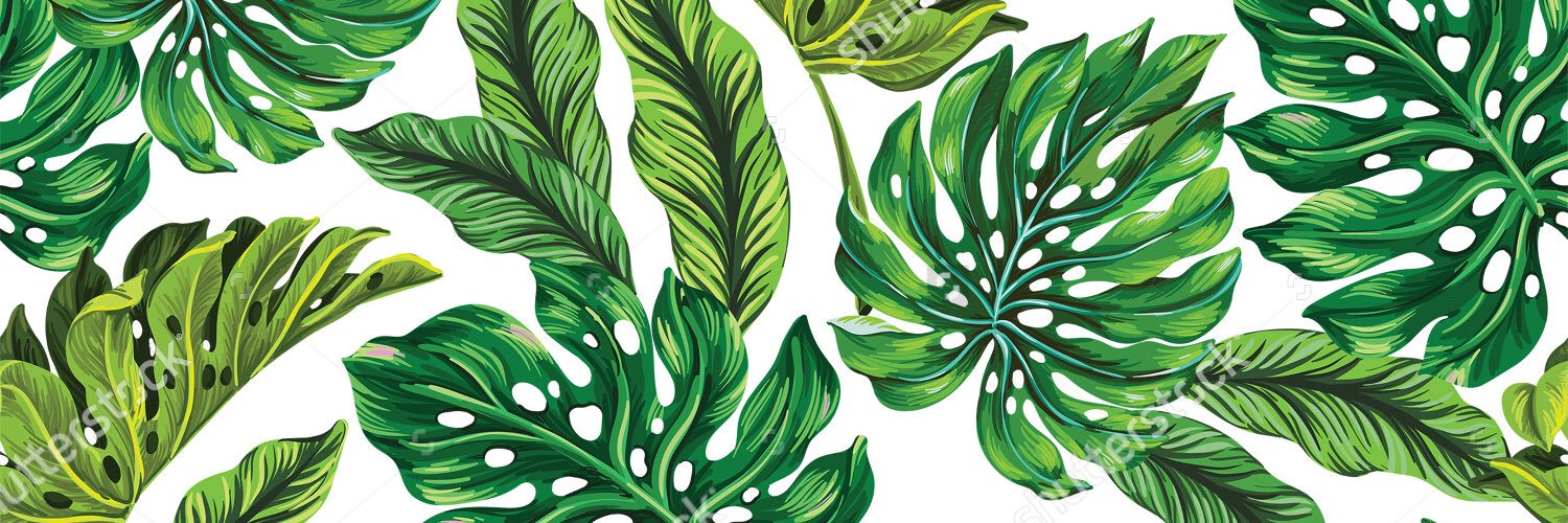 sebaugarte's profile banner image