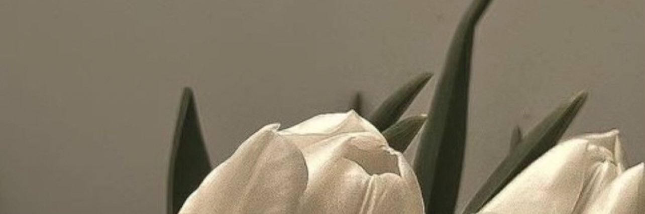ocreaura's profile banner image