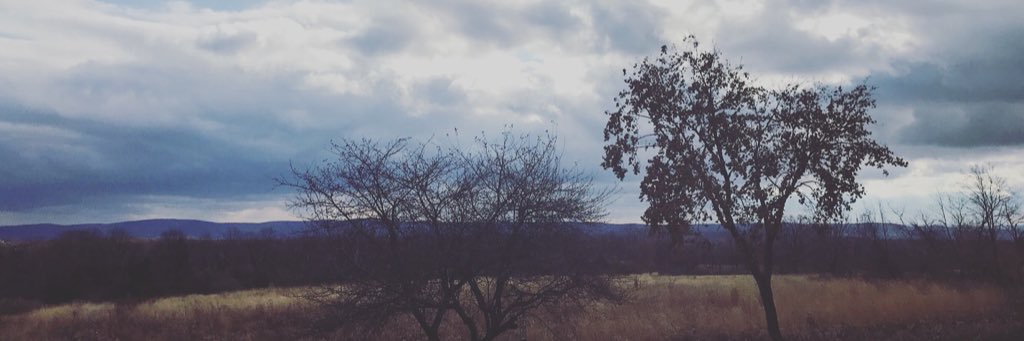 alli_wardds's profile banner image
