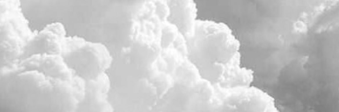 probasalganglia's profile banner image
