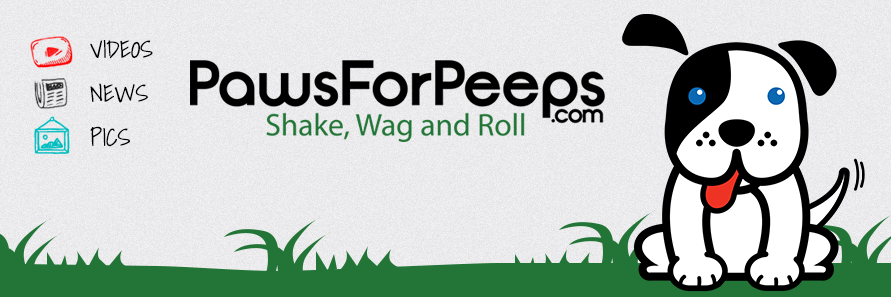 pawsforpeeps's profile banner image
