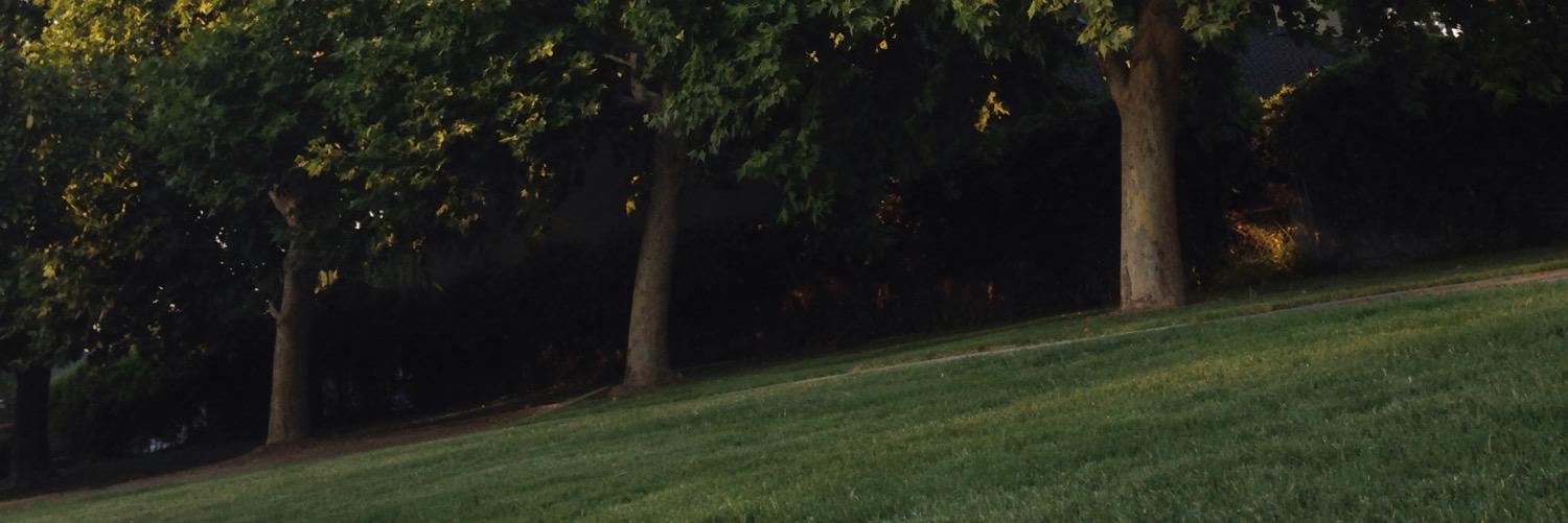 nightowlgarbage's profile banner image