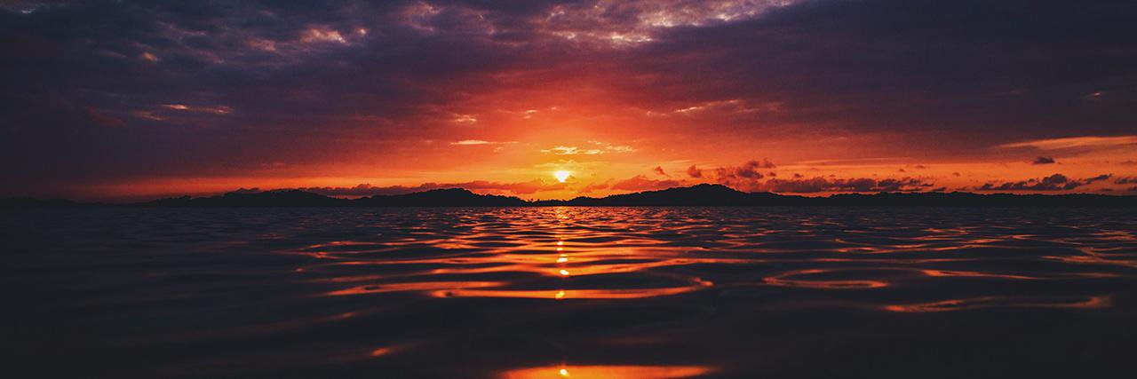 Jess Erickson banner