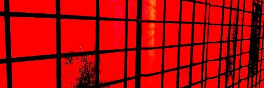 Jantz Shaptrazini banner