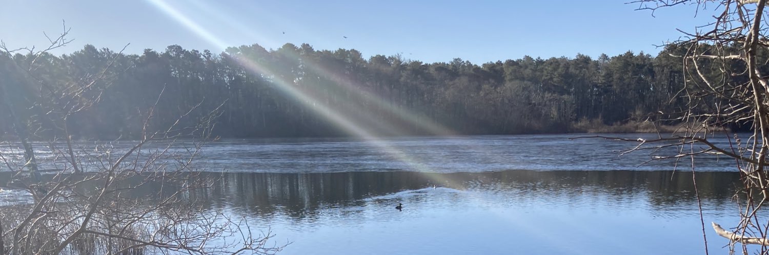 PryinBrian's profile banner image