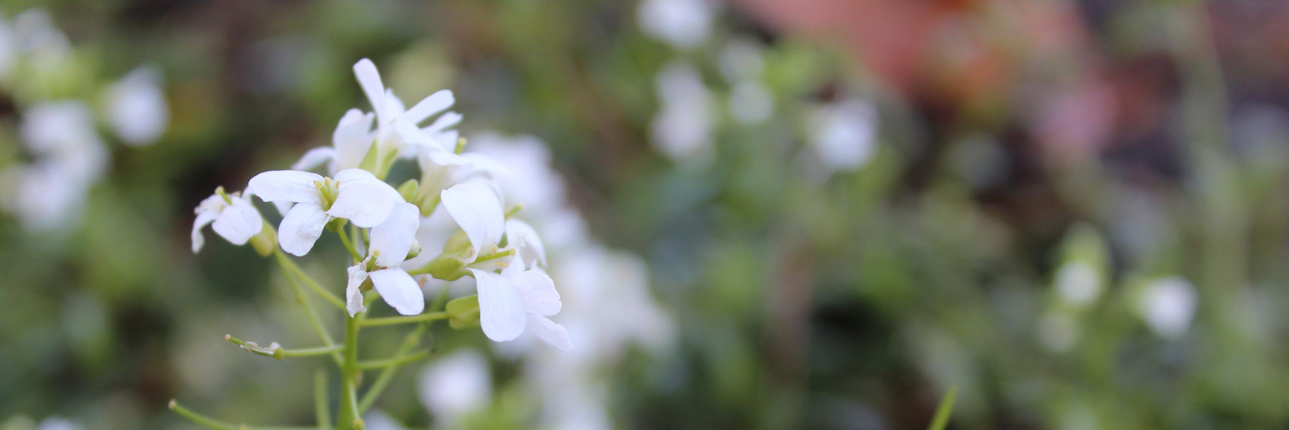 daisywritesthis's profile banner image
