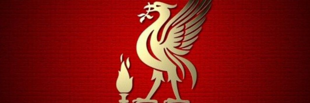 paulineb668LFC's profile banner image