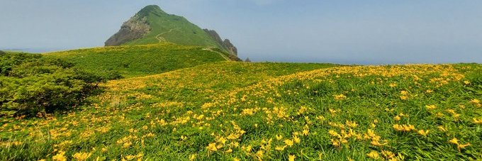 ばるくまん banner