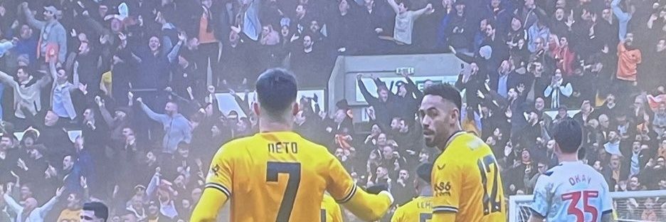 Tim Bicknell🌸 banner