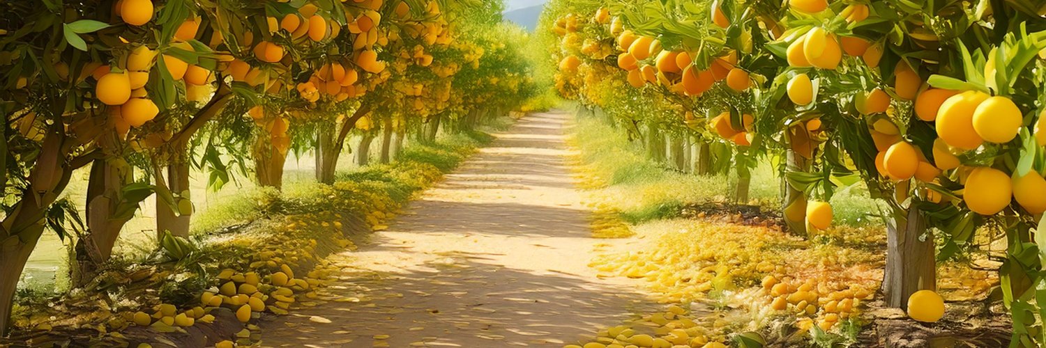 L@$t 🍊 ████ 🌱 banner