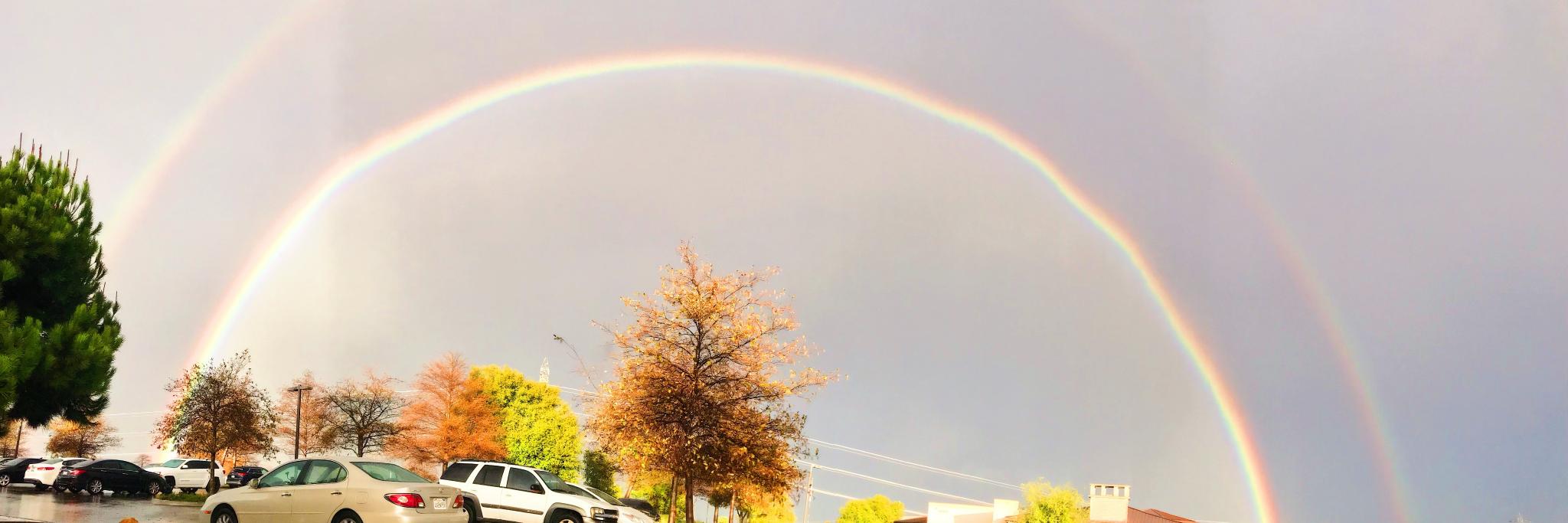 rtecotzky's profile banner image