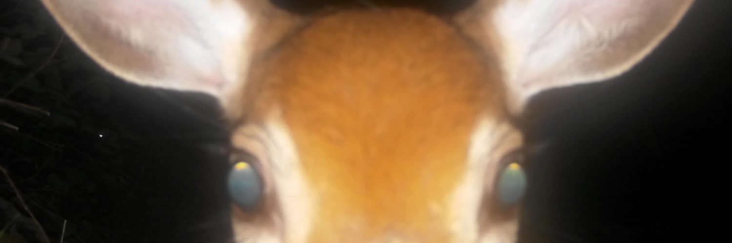 ghostmach1ne's profile banner image