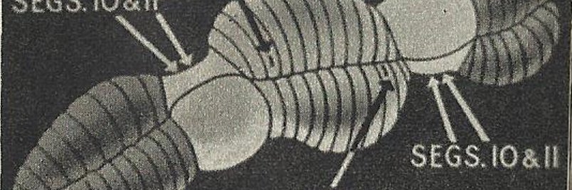 datableedzine's profile banner image