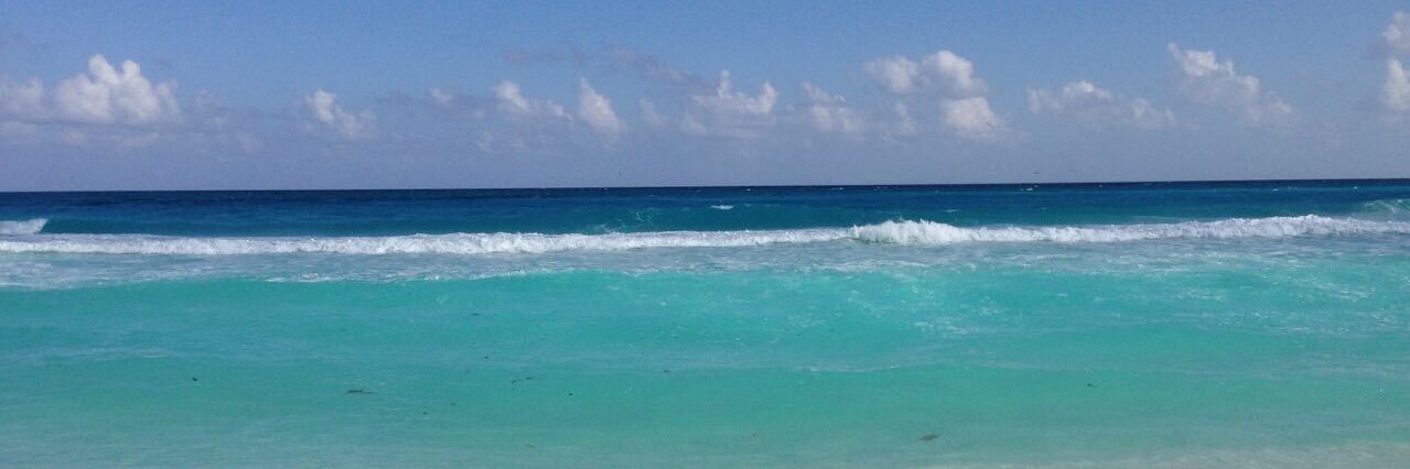 Marisol Toledo banner