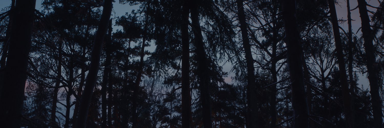 Fizboreal's profile banner image
