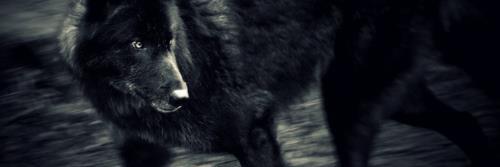 derekhaleci's profile banner image