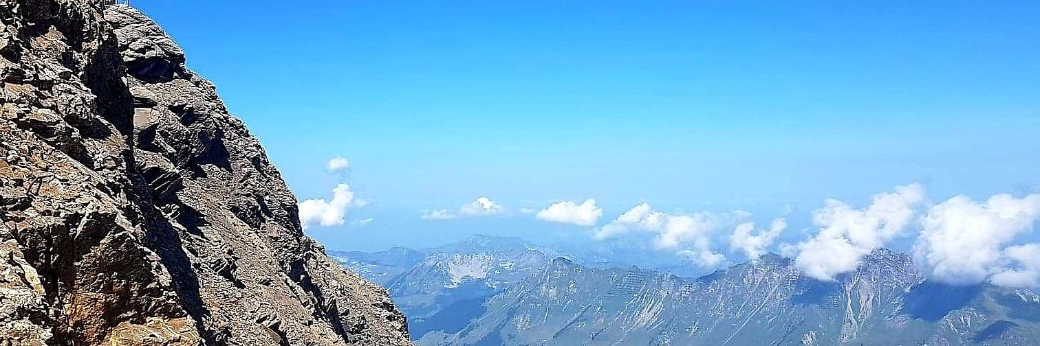 MichelleH999's profile banner image
