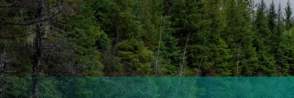 KevinBirn's profile banner image
