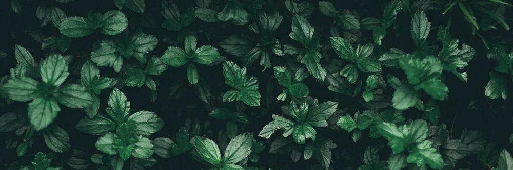 ikweenofawkward's profile banner image