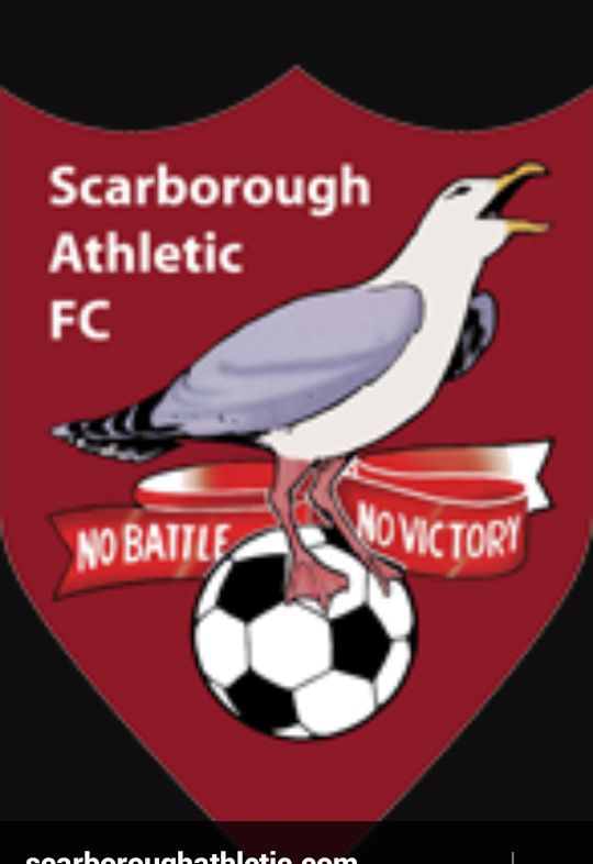 sboroseadog78's profile banner image