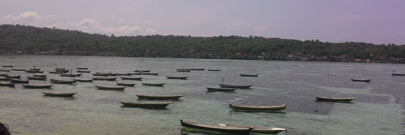 awidnyani's profile banner image