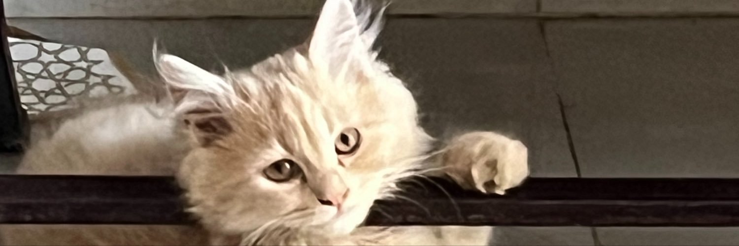 imanhamdyy's profile banner image