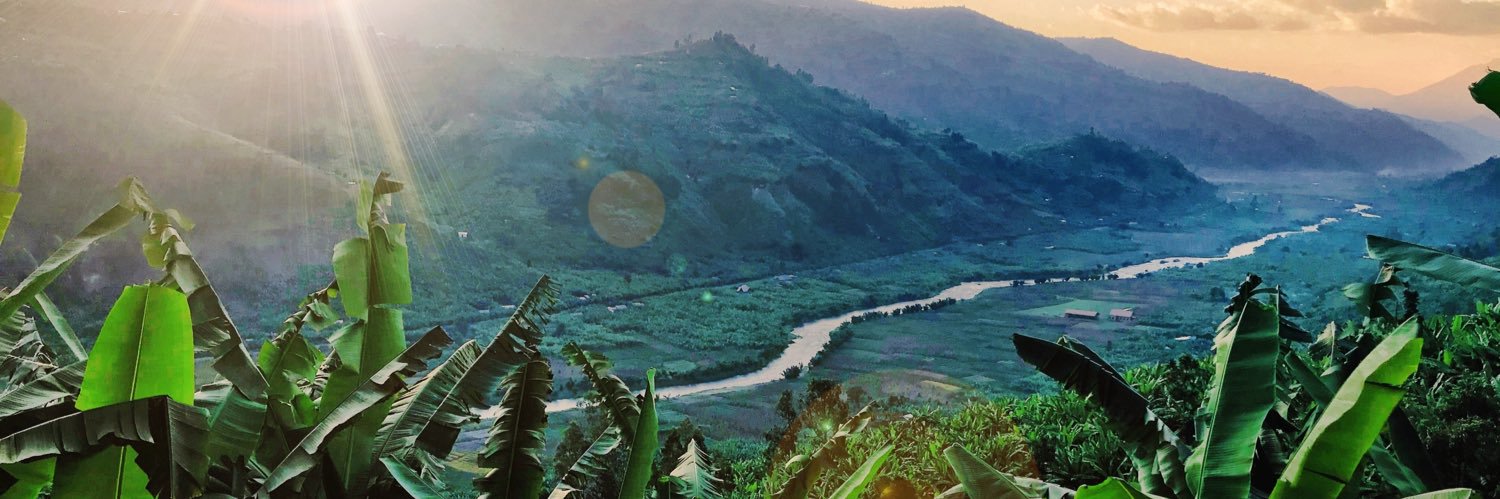 janinefroend's profile banner image