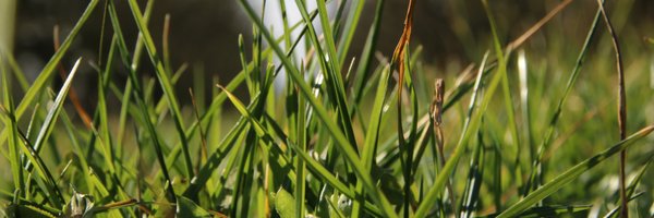 Alpa_is4a Profile Banner