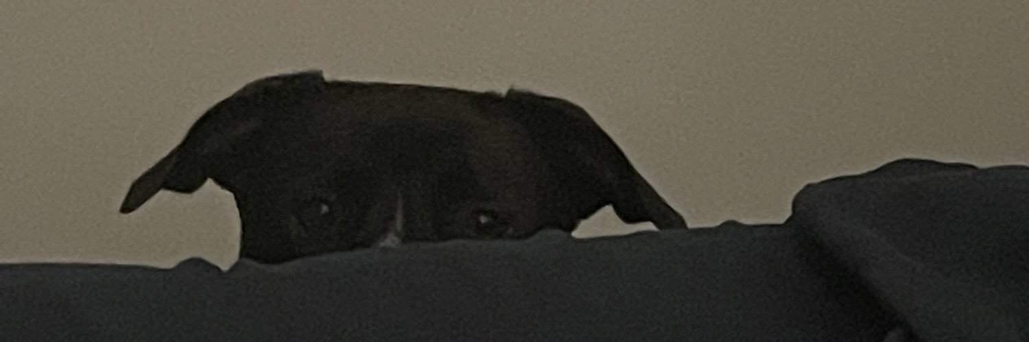 kuahwa's profile banner image