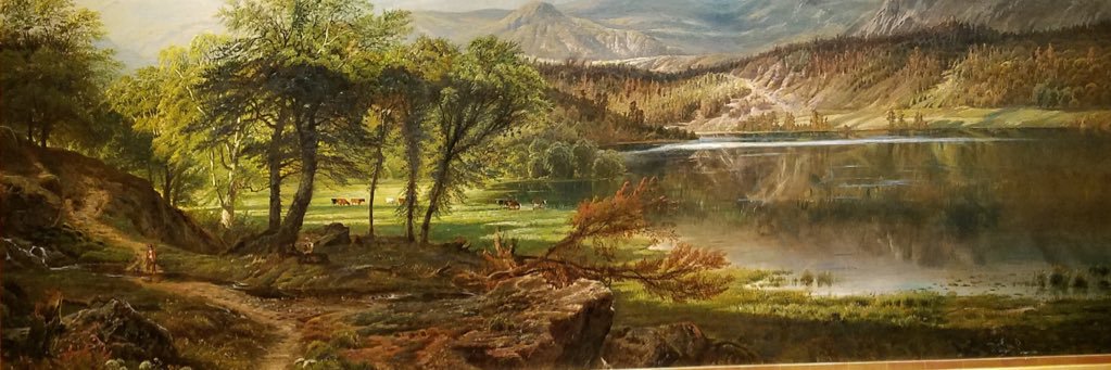 stephenx007's profile banner image