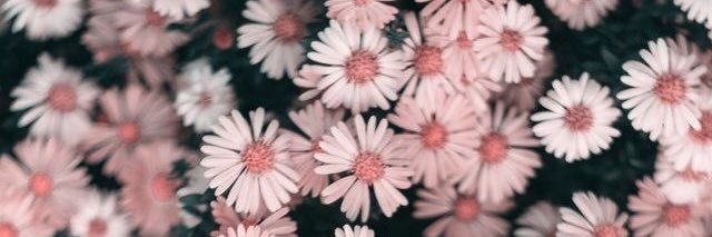 Fulyaa_7's profile banner image