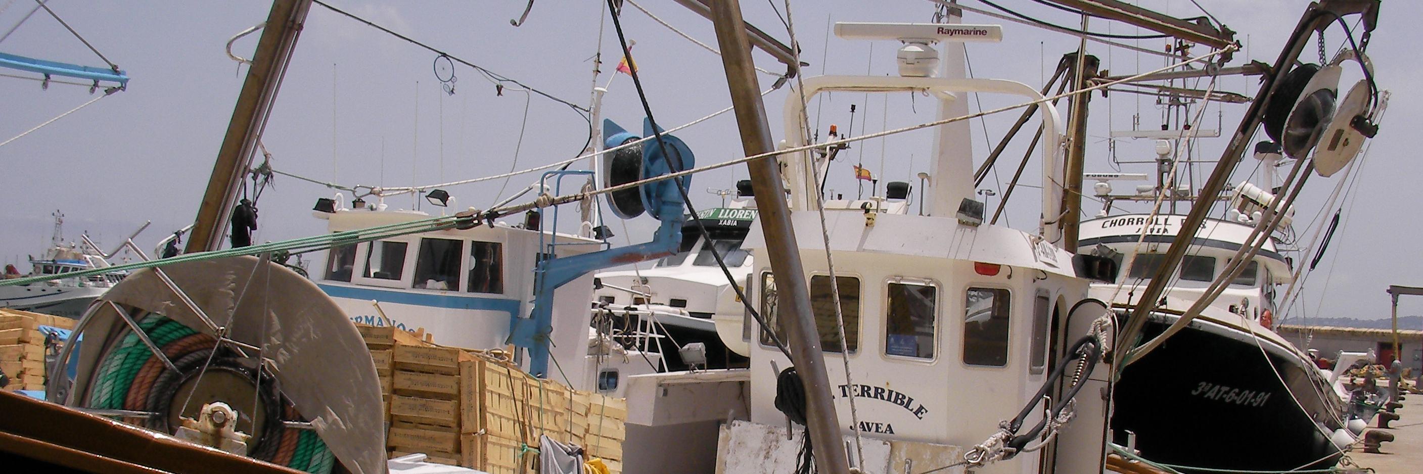 PescaAlacant's profile banner image