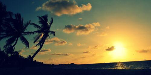 backofmymind's profile banner image