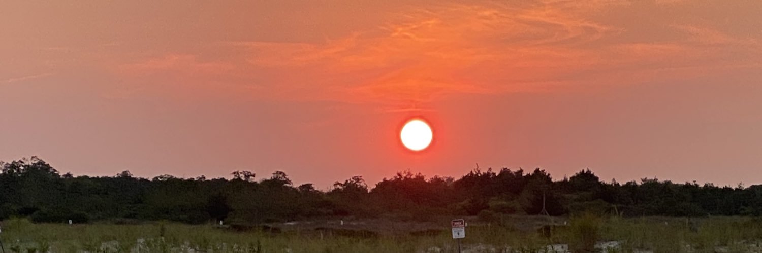 LloZimm's profile banner image