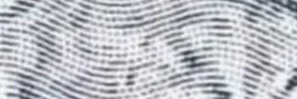 DomainDoc Profile Banner