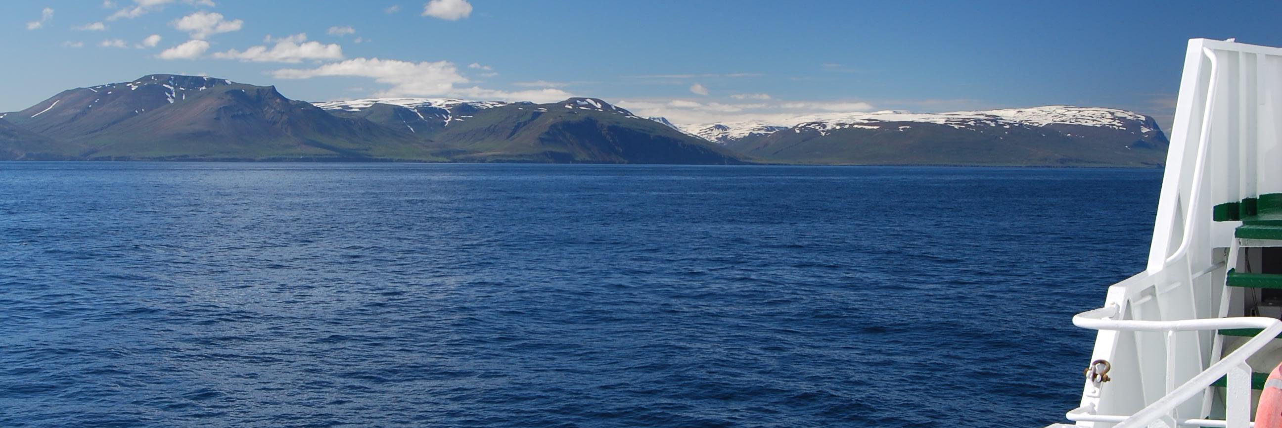 Dr Femke de Jong 🌊 banner