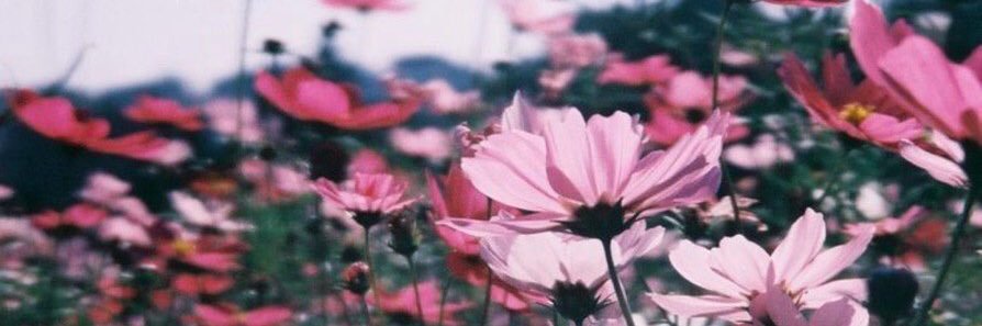 rr_elle's profile banner image