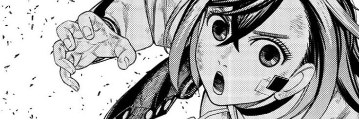 Monkey_D_Yanou's profile banner image