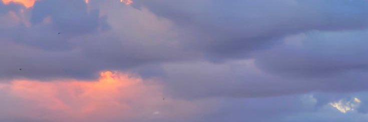 clarify_l's profile banner image