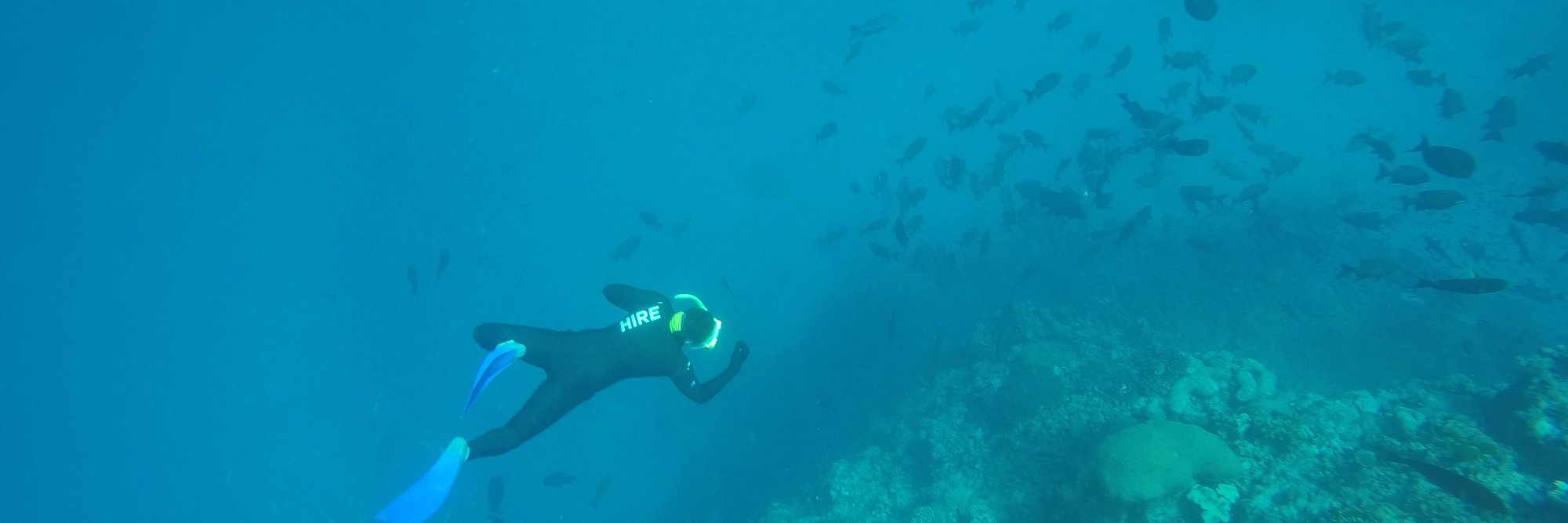 Matthew Pyers banner